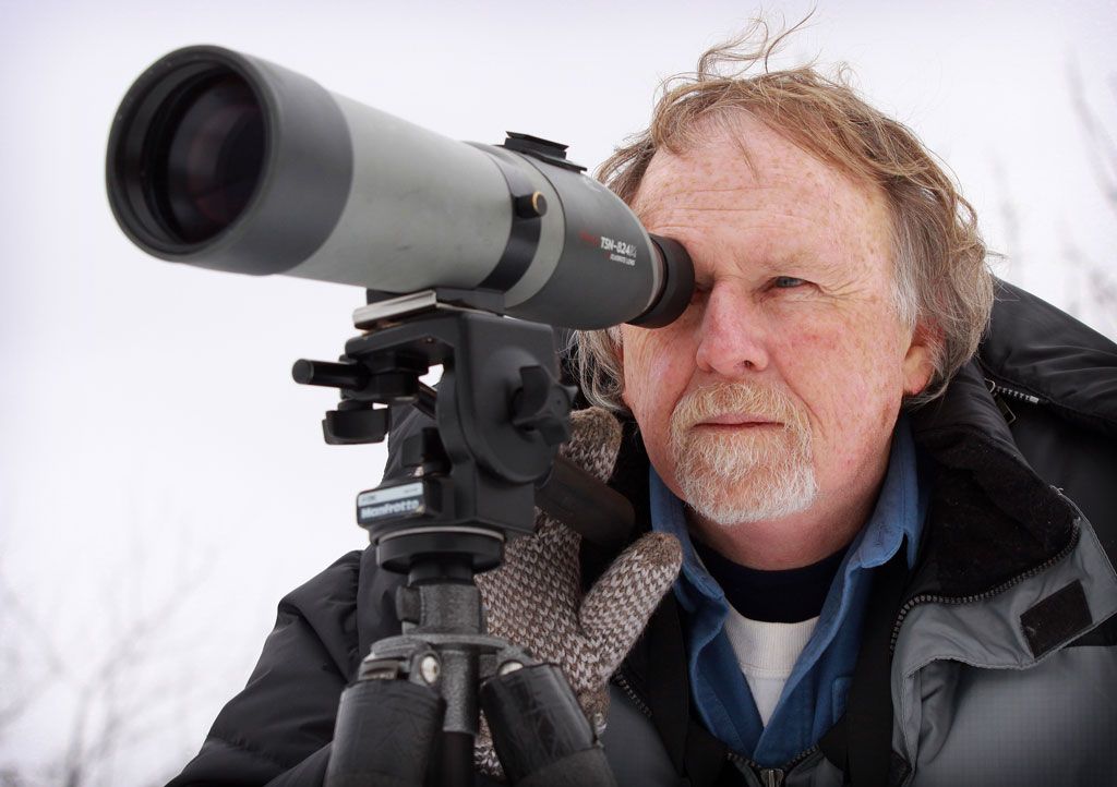 More than turtle doves and a partridge to count this Christmas