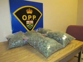 OPP POT BUST