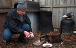 Mike Gabor feeds one of many feral cats at a cat colony in an east Windsor neighbourhood. (DAX MELMER/The Windsor Star) 