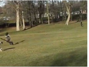 Video showing child snatched up by an eagle on Mount Royal goes viral.
(Photograph by: YouTube, Mr. Nuclear Cat)