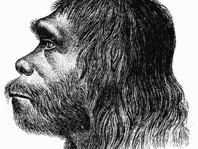 A sketch of a Neanderthal.