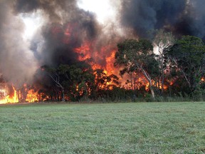 In this photo provided by the NSW Rural Fire Service, a fire burns near Cessnock, Australia, Friday, Jan. 18, 2013. Firefighters are battling scores of wildfires in southeastern Australia as hot, dry and windy conditions are combining to raise the threat. (AP Photo/NSW Rural Fire Service, Kerry Lawrence)