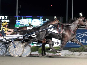 Thinking Out Loud captures the $1.5 million Pepsi North America Cup at Mohawk Racetrack in Campbellville, Ont., Saturday, June 16, 2012. The three-year-old colt was driven by Randall Waples for trainer Robert McIntosh of LaSalle, Ont. (THE CANADIAN PRESS/HO- Clive Cohen)