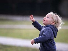 Maddox Wilson, 2, looks up at a squirrel in a tree at Willistead Park on warm record-breaking january afternoon with his mother, Sabina Leszczynski, (not pictured) Saturday, January 12, 2013.  (DAX MELMER / The Windsor Star)