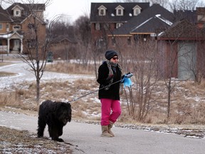 Allanah walks her pet bouvier, Buddy, at Blue Heron Lake in East Riverside January 22, 2013.  Allanah was bundled up against a bitter cold, yet Buddy had no problem with the weather, stopping at every tree along the popular east side trail.  Allanah only gave her first name. (NICK BRANCACCIO/The Windsor Star)