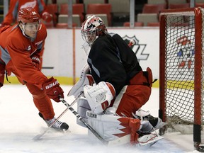 Detroit's Damien Brunner, left, takes a shot on goalie Jimmy Howard at Joe Louis Arena. (AP Photo/Paul Sancya)