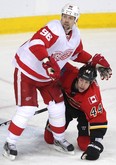Detroit's Tomas Holmstrom, left, is checked by Calgary's Chris Butler at the Scotiabank Saddledome in Calgary. (Colleen De Neve/Calgary Herald)
