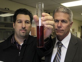 File photo: Windsor Utilities Commission's Director of Water Production, Garry Rossi, left, and General Manage  John Wladarski examine a sample of water during a test to determine the actual concentration of fluoride in drinking water at the Bert Weeks Water Treatment Plant in Windsor on November 15, 2011.(Windsor Star files)