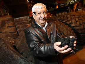 Peter Valente holds some of the finished shredded rubber from recycled tires at Windsor Rubber Processing in Windsor on Tuesday, January 17, 2012. The company recycles industrial tires used on forklifts and heavy equipment. (Windsor Star files)