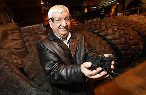 Peter Valente holds some of the finished shredded rubber from recycled tires at Windsor Rubber Processing in Windsor on Tuesday, January 17, 2012. The company recycles industrial tires used on forklifts and heavy equipment. (Windsor Star files)