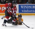 Windsor's Alexander Khokhlachev, left, is checked by Sarnia's Charles Sarault at the WFCU Centre. (DAX MELMER/The Windsor Star)