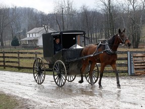In this photo made on Tuesday, Jan. 29, 2013, an Amish buggy is driven down the road between the farms in Bergholz, Ohio that are worked by the families of sixteen men and women facing sentencing Friday, Feb. 8, 2013 in beard-cutting attacks on fellow Amish in Ohio. The defendants want leniency so they can return to their homes and farms, to teach their sons a trade and their daughters how to sew, cook and keep house. (AP Photo/Keith Srakocic)