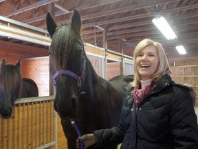 Sandy Bonem, right, holds her horse Mariska, in her stable at Larkin Township, Mich. in Midland County on Feb. 13, 2013. Mariska, a 9-year-old Friesian, learned to open latches at Misty Meadow Farms and she's been nicknamed "Houdini Horse" by the Midland-area's farm owners Sandy and Don Bonem. A YouTube video Sandy Bonem posted has more than 700,000 views. (AP Photo/The Saginaw News, Jeff Schrier)