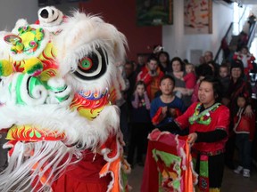 Ken Lai, 17, wears a Lion mask as he performs the Lion Dance during a Chinese New Year celebration at the Art Gallery of Windsor, Sunday, February 10, 2013.  The event was put on by the Essex County Chinese Canadian Association in collaboration with the Art Gallery of Windsor.  (DAX MELMER/The Windsor Star)