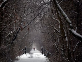 Rayburn Vandergrift walks along the snowy and misty Huckleberry Trail after a winter storm deposited snow in Blacksburg Va., Friday, Feb. 8, 2013. (AP Photo/The Roanoke Times, Matt Gentry)