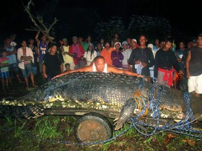 In this Sept. 4, 2011 file photo, residents watch as Mayor Cox Elorde of Bunawan township, Agusan del Sur province, pretends to measure a huge crocodile, later named "Lolong," after its capture by residents and staff of a crocodile farm along a creek in Bunawan in southern Philippines. The saltwater male crocodile, measuring 20.24 feet (6.17 meters) and proclaimed by Guinness World Records as the world's largest saltwater crocodile in captivity, died Sunday, Feb. 10, 2013. (AP Photo/File)