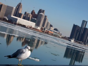 A seagull rests on a guard rail along Windsor's riverfront as the Detroit skyline is reflected on a placid Detroit River, Saturday, February 9, 2013.  (DAX MELMER/The Windsor Star)