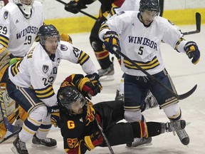 Windsor's Brett Vandehogen, left, and Christian Steingraber, right, check Guelph's Michael Kusy during their OUA West semifinal Thursday, Feb. 21, 2013, at the Windsor Arena.  (DAN JANISSE/The Windsor Star)