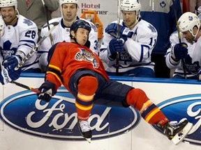 Florida's Stephen Weiss falls in front of the Toronto Maple Leafs bench during NHL action in Sunrise, Fla., Monday, Feb. 18, 2013. (AP Photo/J Pat Carter)