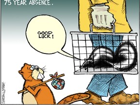 Mike Graston's Colour Cartoon For Wednesday, March 20, 2013