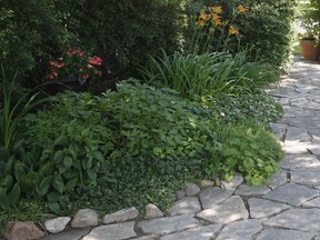 A green garden space. (Windsor Star files)