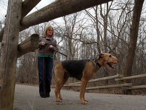 Jan Wilson and her family along with their pet Jake are very cautious when walking in Brunet Park after being chased by a large coyote or coy wolf. , 2013. (NICK BRANCACCIO/The Windsor Star)
