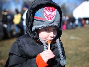 Jacob Fearday, 4, gets a taste of taffy made from pouring maple syrup on snow while at the Maple Syrup Festival at the John R. Park Homestead Conservation Area, in Essex, Ont., Sunday, March 3, 2013.    (DAX MELMER/The Windsor Star)