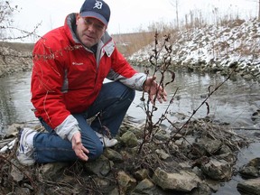 Windsor resident John Ouellette points out a rainbow sheen of oil on water in the Grand Marais Drain near Walker Road. Photographed Mar. 18, 2013. (Dax Melmer / The Windsor Star)