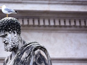 A seagull stands on the head of the statue of St. Peter as people wait for news on the election of a new Pope in St. Peter's Square on March 13, 2013 in Vatican City, Vatican. Pope Benedict XVI's successor is being chosen by the College of Cardinals in Conclave in the Sistine Chapel. The 115 cardinal-electors, meeting in strict secrecy, will need to reach a two-thirds-plus-one vote majority to elect the 266th Pontiff. (Photo by Franco Origlia/Getty Images)