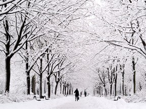 A Montrealer walks down a path in a Montreal park under snow covered trees following a snowfall Thursday, February 28, 2013 in Montreal. One of the country's prominent forecasters says Canadians waiting to feel some spring in their step will have to be patient. THE CANADIAN PRESS/Paul Chiasson