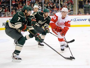 In this file photo, Joakim Andersson #63 of the Detroit Red Wings keeps the puck away from Matt Cullen #7 and Jason Zucker #16 of the Minnesota Wild during the first period of the game on February 17, 2013 at Xcel Energy Center in St Paul, Minnesota. (Photo by Hannah Foslien/Getty Images)