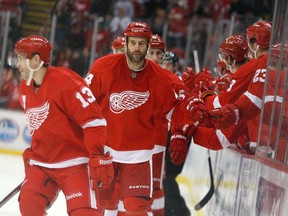 In this file photo, Todd Bertuzzi #44 of the Detroit Red Wings celebrates his third period goal with teammates on the bench while playing the Minnesota Wild at Joe Louis Arena on January 25, 2013 in Detroit. (Photo by Gregory Shamus/Getty Images)