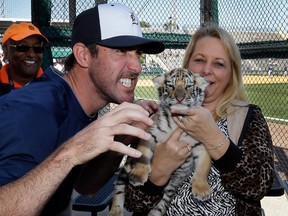 Tigers pitcher Justin Verlander, left, poses with Rocky, a four-week-old Bengal tiger from the Dade City Wild Things Zoo before an exhibition spring training game against Tampa Bay Friday in Lakeland. (AP Photo/Carlos Osorio)