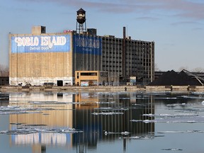 Piles of petroleum coke are seen from Windsor on the banks of the Detroit River in Detroit on March 8, 2013. (TYLER BROWNBRIDGE/The Windsor Star)