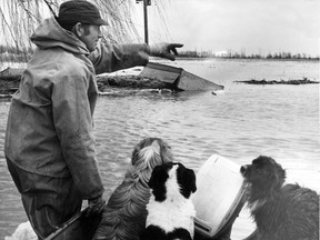 Pat Hamilton of Grande Pointe got a lot of happy barking and tail wagging as he spent part of Mon. March 20, 1973 picking up stranded dogs in Dover Township. Windsor Star files.