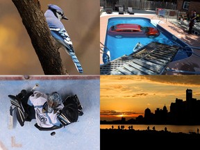 Some of the 2012 images captured by Star photographers that earned them nominations for Ontario Newspaper Awards. The Star has 16 nominations for the 2012 ONAs in a variety of categories. (Tyler Brownbridge / Nick Brancaccio / Dax Melmer / The Windsor Star)