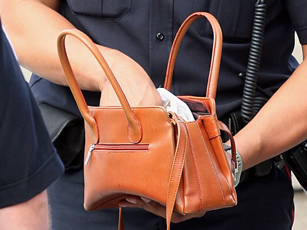 Rash of purse snatching attempts hits East Windsor Windsor Star