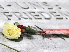 A flower lies on a grave at the Heidefriedhof cemetery during a memorial to commemorate the 68th anniversary of the Allied firebombing of Dresden during World War II on February 13, 2013 in Dresden, Germany.