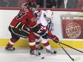 Calgary's Chris Butler , left, battles Detroit's Damien Brunner in first period NHL action on March 13, 2013 at the Scotiabank Saddledome in Calgary, Alberta, Canada. (Photo by Mike Ridewood/Getty Images)