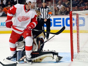 Detroit's Daniel Cleary, left, deflects a shot for a goal past Anaheim goalie Jonas Hiller during the first period of NHL action Sunday, March 24, 2013, in Anaheim, Calif. (AP Photo/Mark J. Terrill)