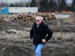 In this 2011 file photo, homeowner Marcel Hinse can't believe how many trees have been cut and how close the Windsor Essex Parkway will be to his property line. rick Taves of Wheatley wants to know why we're so eager to destroy what is left of our forests. (Windsor Star files)