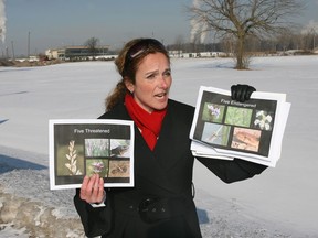 Nancy waged a battle against development on property adjacent to Windsor Raceway and directly opposite the Ojibway Prairie Complex, "Canada's most endangered ecosystem."  The Ojibway Prairie has more rare species than any other provincial park in Ontario. Letter writer Kevin MacDonell says the city and Coco Paving should be ashamed of recent efforts to develop the area at the expense of the environment.  
(Windsor Star files)