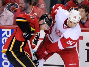 Detroit's Jonathan Ericsson, right, battles Calgary's Matt Stajan Wednesday. (THE CANADIAN PRESS/Larry MacDougal)