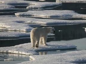 In this file photo, concerns over global warming and its effect on sea ice like this example found in northern Greenland are putting a spotlight on the carbon imprint every resident leaves on the globe. (Nick Cobbing/AFP/Getty Images)