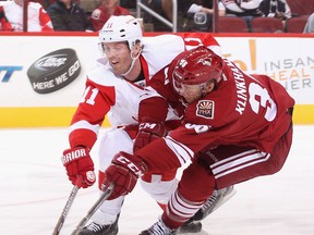 Detroit's Daniel Cleary , left, checks Phoenix's Rob Klinkhammer at Jobing.com Arena in Glendale. (Photo by Christian Petersen/Getty Images)