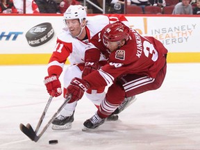 Detroit's Daniel Cleary and Phoenix's Rob Klinkhammer battle for a loose puck at Jobing.com Arena April 4, 2013 in Glendale, Ariz. (Christian Petersen/Getty Images)