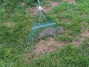 The first step in preparing your lawn for spring and summer is to rake it using a leaf or fan rake.