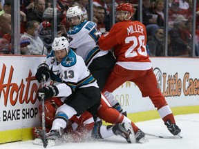 San Jose's Raffi Torres, left, tries controlling the puck as he falls onto Detroit's Brendan Smith during the first period in Detroit, Thursday, April 11, 2013. In the background are Red Wings left winger Drew Miller, right, and Sharks centre Tommy Wingels. (AP Photo/Carlos Osorio)