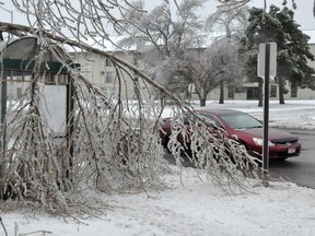 A fallen icy tree branch sits on a city bus stop enclosure, Wednesday, April 10, 2013, in Sioux Falls, S.D. The area got hit Tuesday and Wednesday by freezing rain and more than 6 inches of snow were expected to follow. (AP Photo/Dirk Lammers)