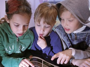 Siblings Zoe Villeneuve, 8, left, Noah Villeneuve, 6, and Benjamin Villeneuve, 11, flip through the pages of The Dictionary of Birds in Colour at the Raise a Reader Book Sale at Windsor Crossings in April 2012. (Windsor Star files)